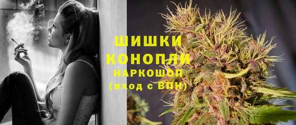 шишки Алексеевка