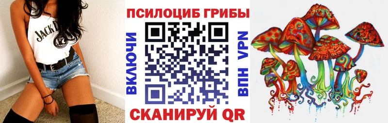Псилоцибиновые грибы Psilocybe  Чухлома 